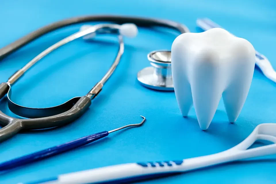 Self-Employed Dental Insurance: Main Plan Types